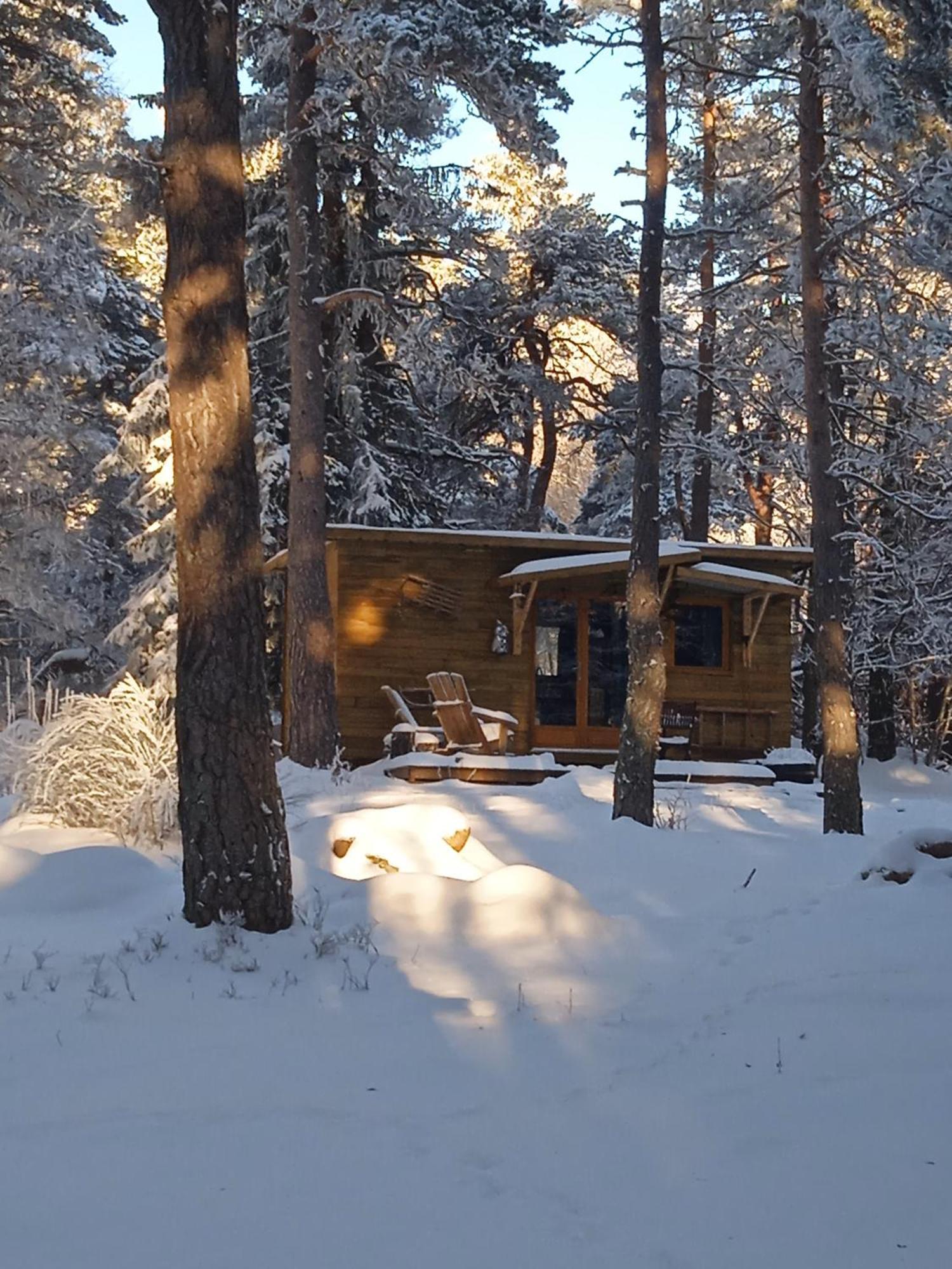 Chalet Hibou 1 Couchage En 140 Domaine De La Mamounette Champclause Εξωτερικό φωτογραφία