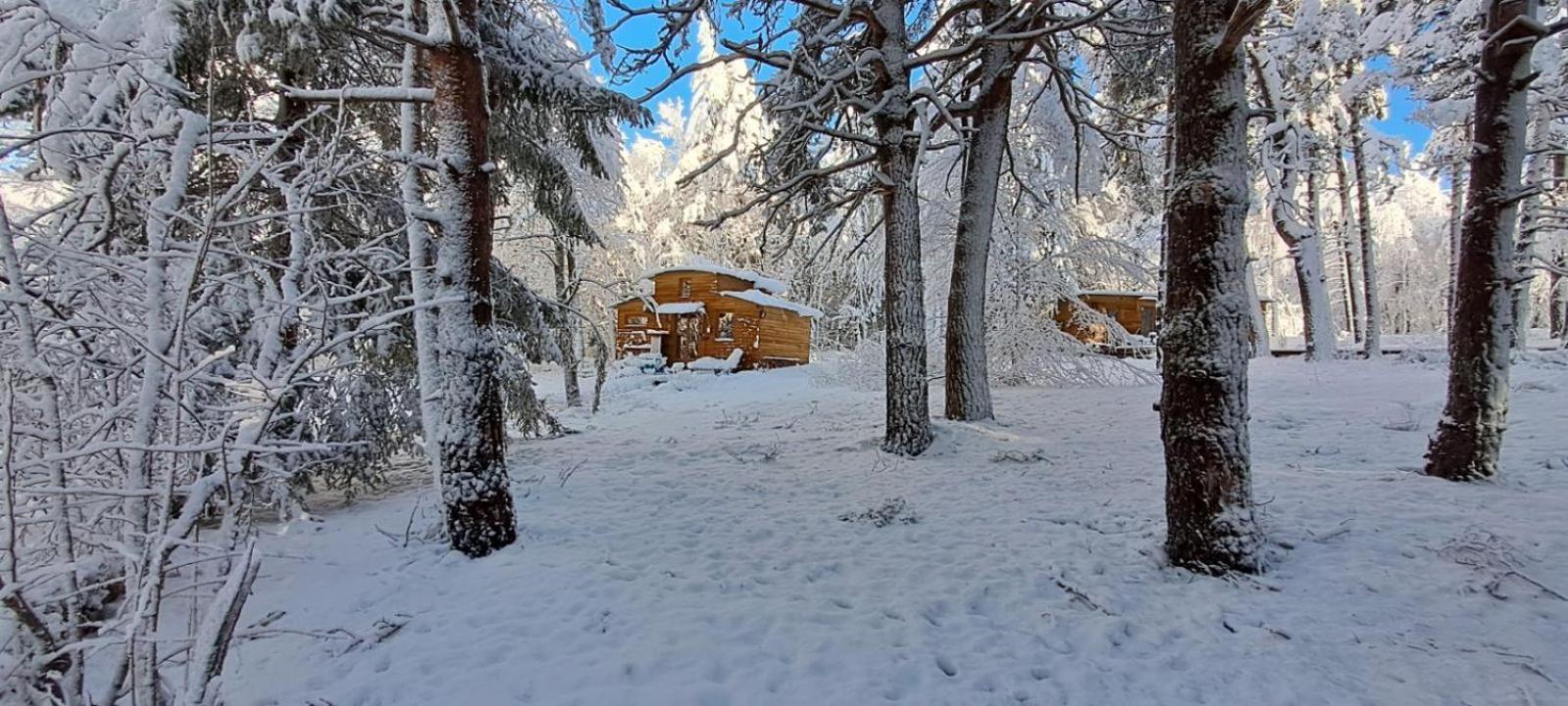 Chalet Hibou 1 Couchage En 140 Domaine De La Mamounette Champclause Εξωτερικό φωτογραφία
