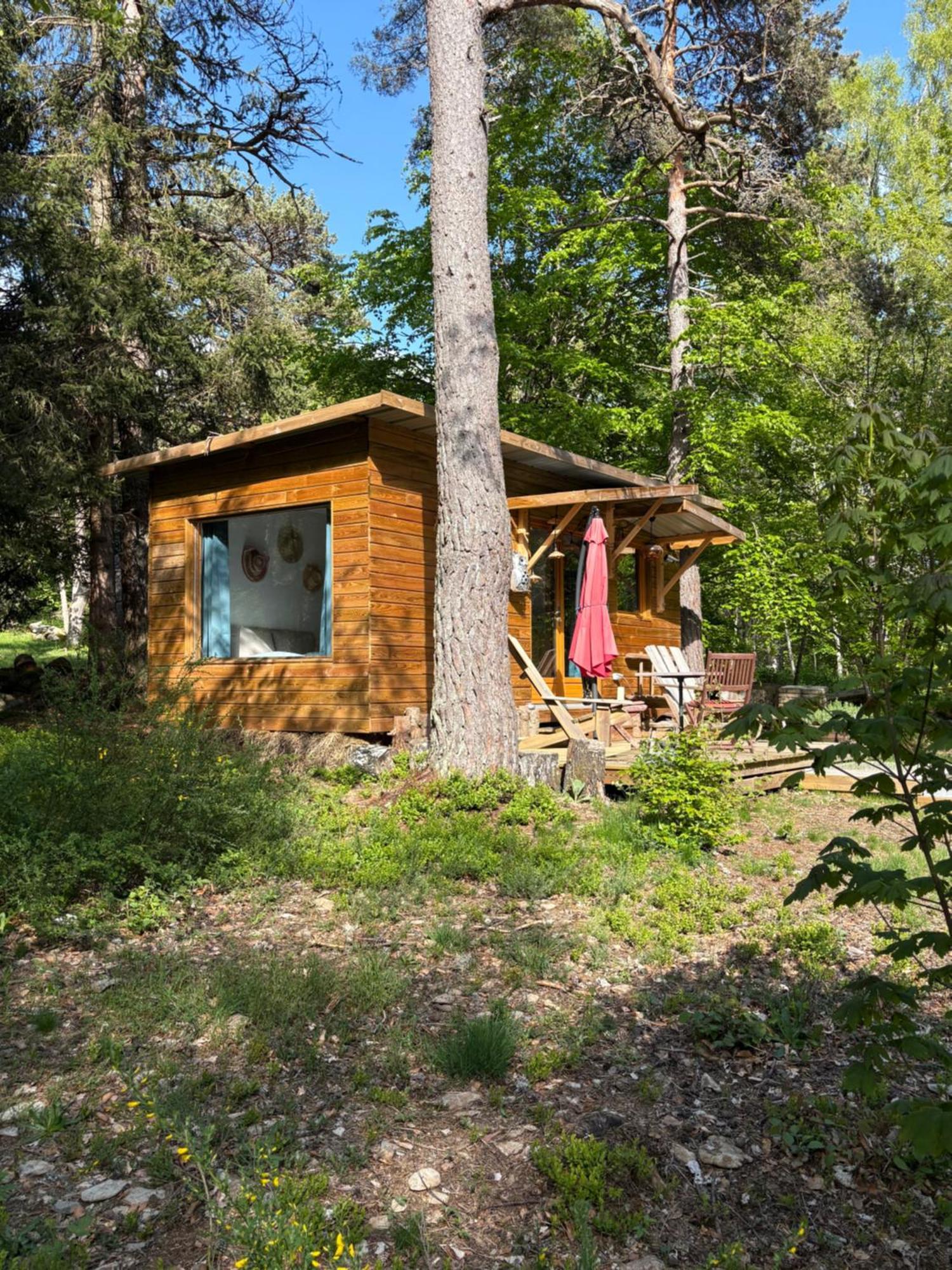 Chalet Hibou 1 Couchage En 140 Domaine De La Mamounette Champclause Εξωτερικό φωτογραφία
