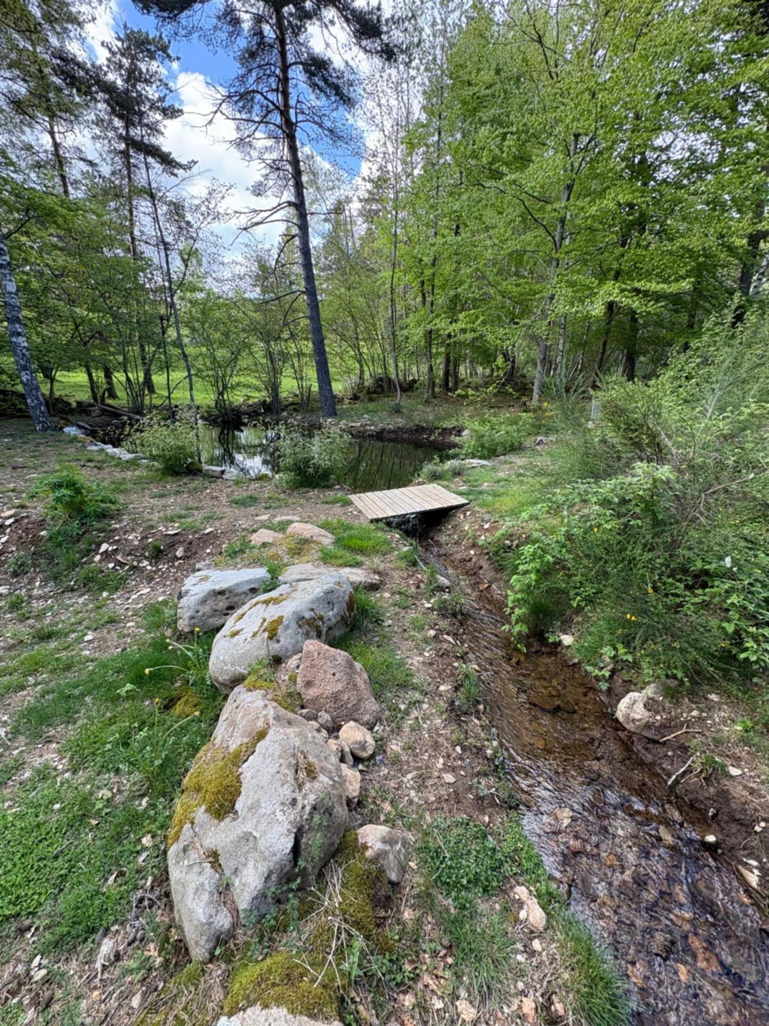 Chalet Hibou 1 Couchage En 140 Domaine De La Mamounette Champclause Εξωτερικό φωτογραφία